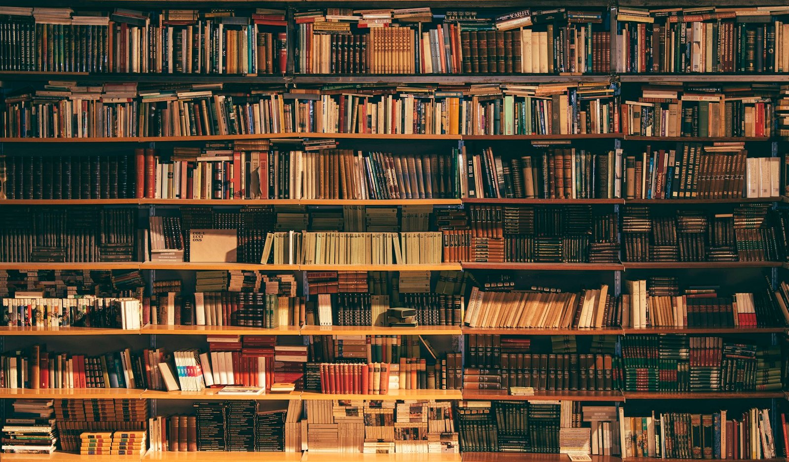 A warm library full of books